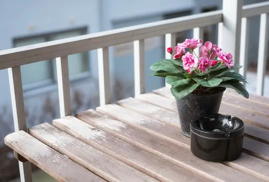How Do You Keep Porch Plants Alive In The Winter