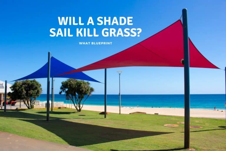 Will A Shade Sail Kill Grass?