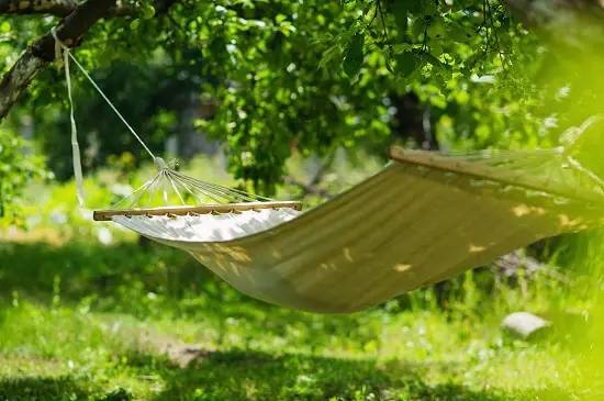 best hammock fro gardens