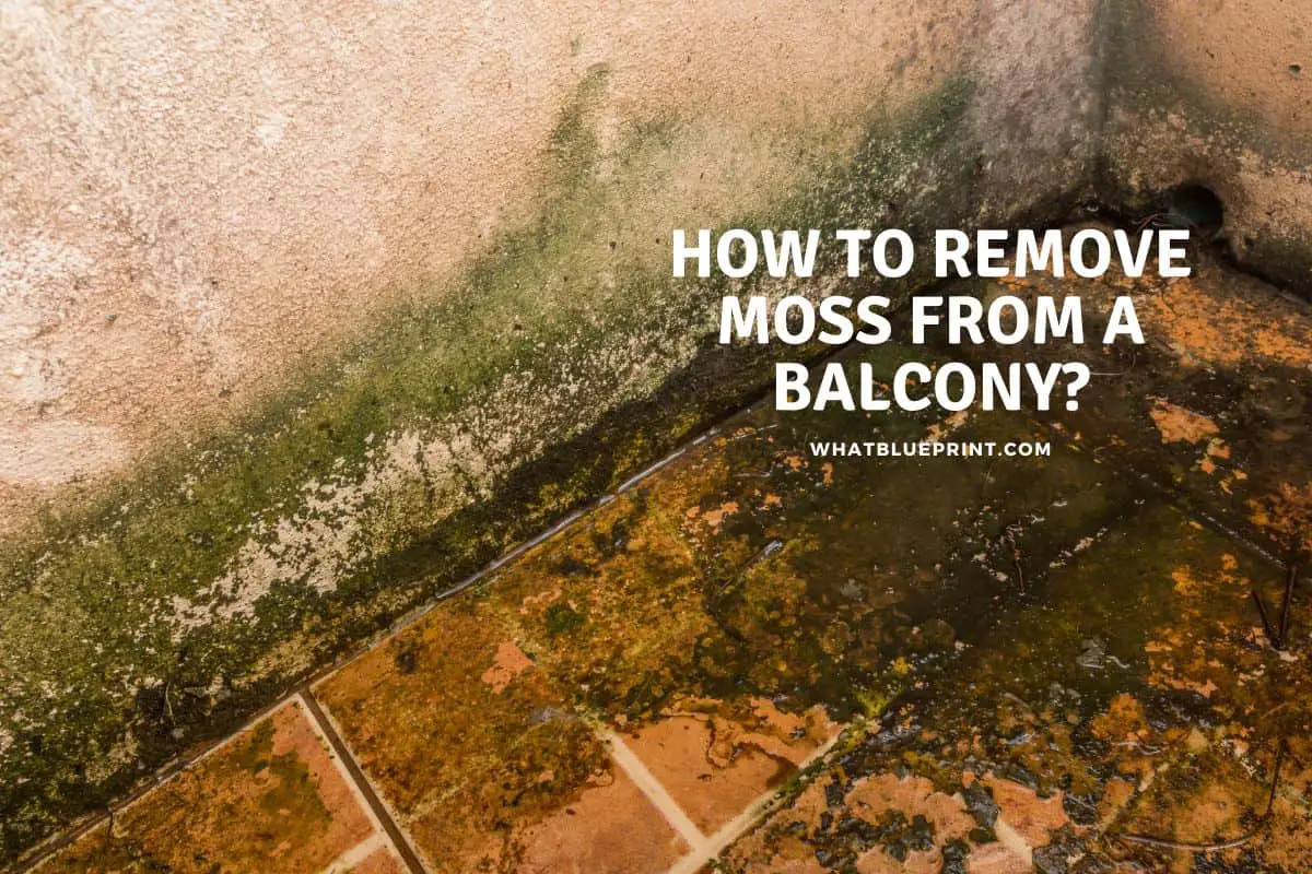 How to Remove Moss From a Balcony?