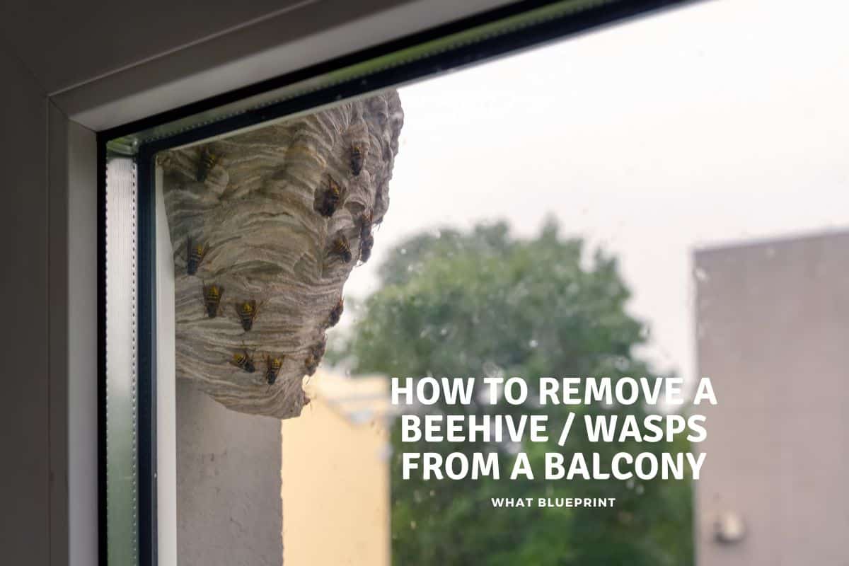 How to Remove a Beehive From a Balcony