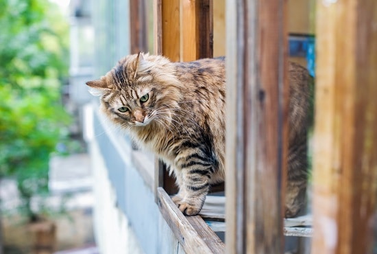 Are Balconies Safe