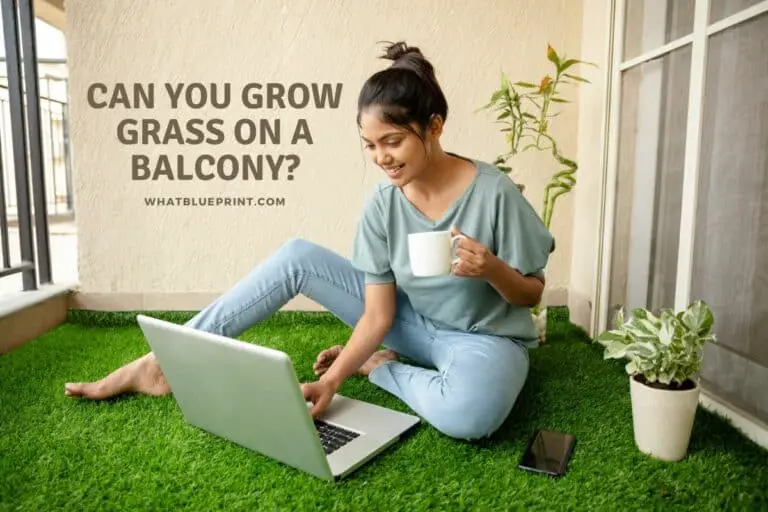 Can You Grow Grass On A Balcony?
